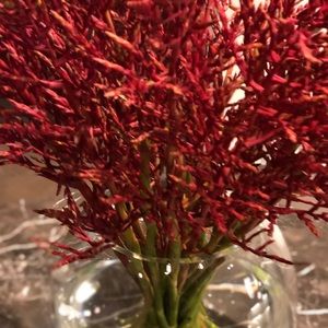 Meet your Posher, Quin